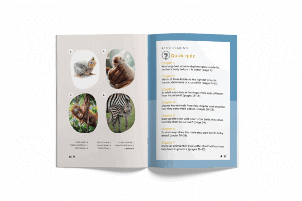 Animal Babies: How Babies Grow and Change (Mopoke Readers, Set 1) - Image 4