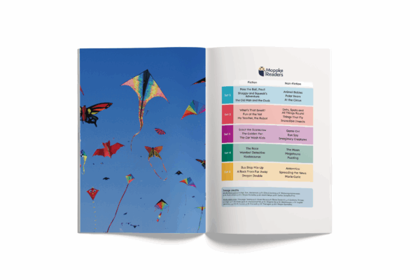Things That Fly (Mopoke Readers, Set 2) - Image 5