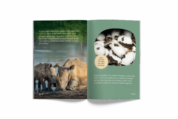 Animal Babies: How Babies Grow and Change (Mopoke Readers, Set 1) - Image 2