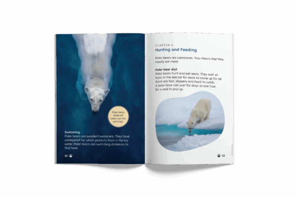 Polar Bears (Mopoke Readers, Set 1) - Image 2