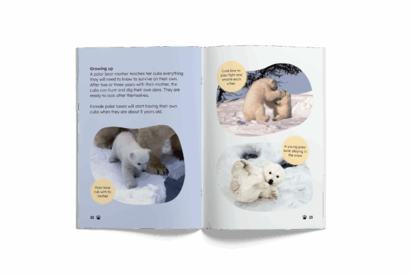 Polar Bears (Mopoke Readers, Set 1) - Image 3