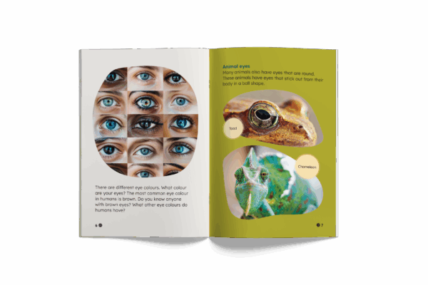 Dots, Spots and All Things Round (Mopoke Readers, Set 2) - Image 2