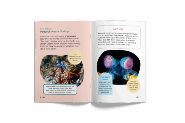 Mopoke Readers Classroom Set (6 Full Sets) - Image 2