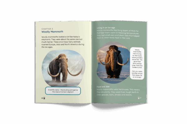 Megafauna: Huge Animals From Long Ago (Mopoke Readers, Set 4) - Image 2
