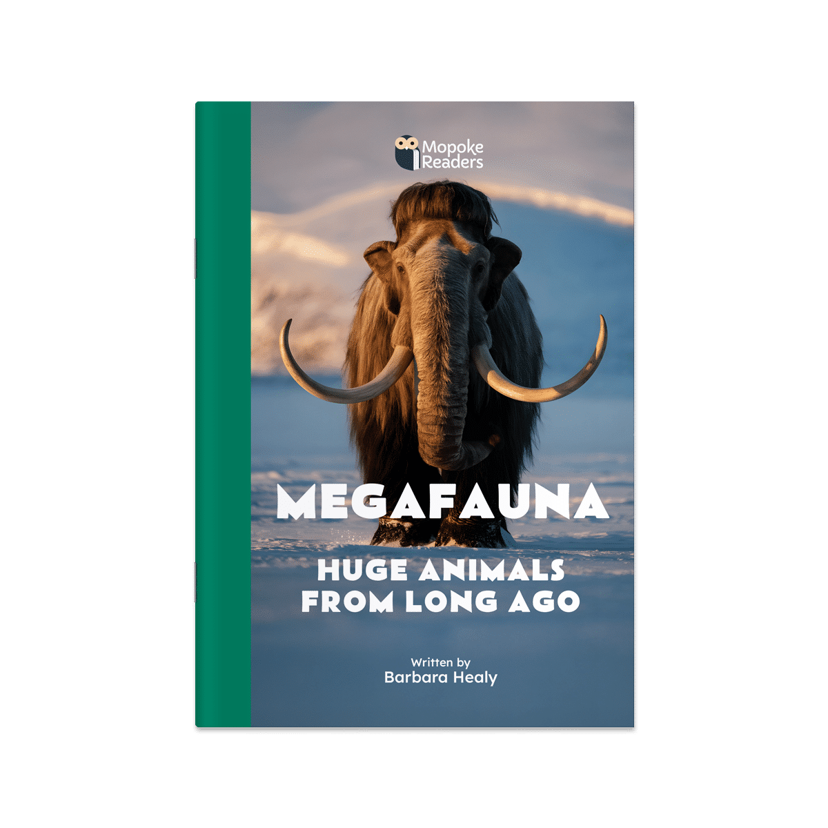 Megafauna: Huge Animals From Long Ago (Mopoke Readers, Set 4)